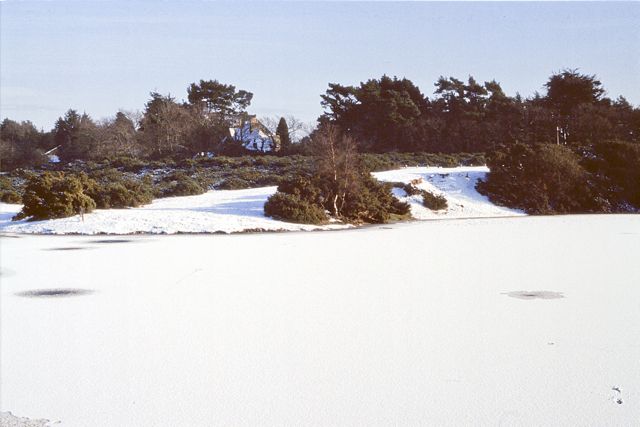 Early 1980's (3)