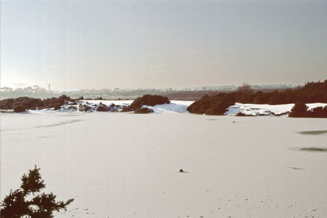 Early 1980's (5)