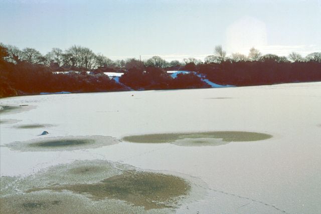 Early 1980's (7)