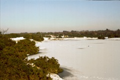 Early 1980's (2)