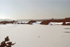 Early 1980's (5)