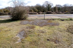 DSC04901.JPG