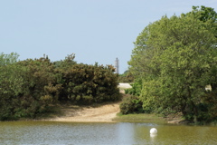 Sway Tower photo