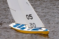 DSC04199 © Peter Taylor 2012