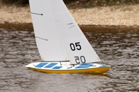 DSC04059 © Peter Taylor 2012