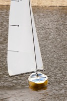 DSC04081 © Peter Taylor 2012