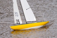 DSC04200 © Peter Taylor 2012