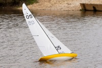 DSC04197 © Peter Taylor 2012