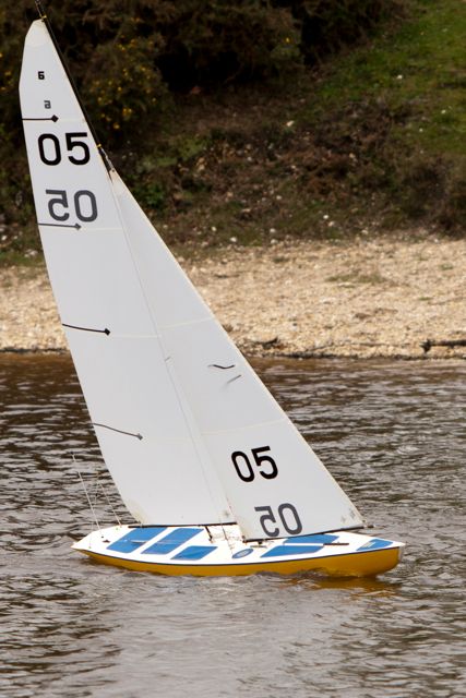 DSC04060 © Peter Taylor 2012