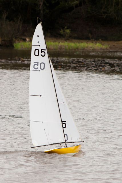DSC04031 © Peter Taylor 2012