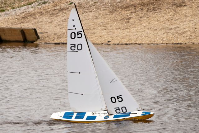 DSC04223 © Peter Taylor 2012