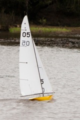 DSC04031 © Peter Taylor 2012