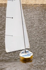 DSC04081 © Peter Taylor 2012