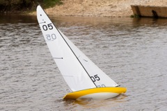 DSC04197 © Peter Taylor 2012