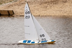 DSC04223 © Peter Taylor 2012