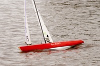 DSC04071 © Peter Taylor 2012