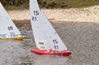 DSC04139 © Peter Taylor 2012