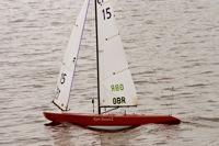 DSC04225 © Peter Taylor 2012