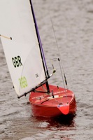 DSC03987 © Peter Taylor 2012