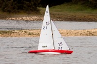 DSC04045 © Peter Taylor 2012