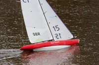 DSC03983 © Peter Taylor 2012