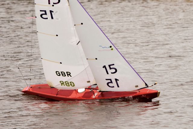 DSC04218 © Peter Taylor 2012
