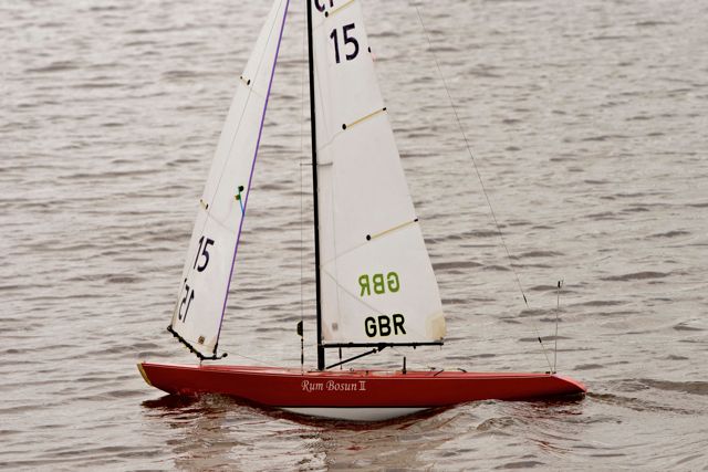 DSC04225 © Peter Taylor 2012