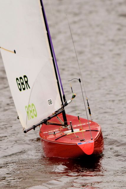 DSC03987 © Peter Taylor 2012