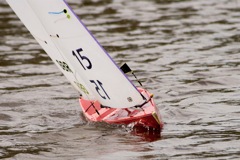 DSC04186 © Peter Taylor 2012