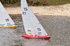 DSC04139 © Peter Taylor 2012