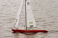 DSC04225 © Peter Taylor 2012