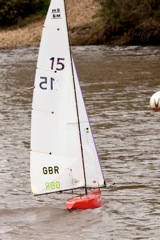 DSC04077 © Peter Taylor 2012