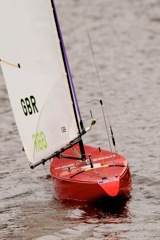 DSC03987 © Peter Taylor 2012