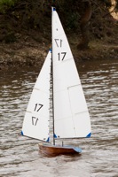 DSC04118 © Peter Taylor 2012