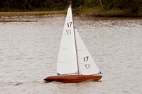 DSC04124 © Peter Taylor 2012