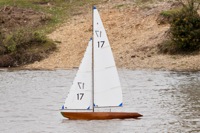DSC04079 © Peter Taylor 2012