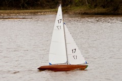 DSC04124 © Peter Taylor 2012