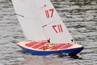 DSC04191 © Peter Taylor 2012