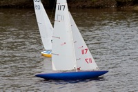 DSC04116 © Peter Taylor 2012