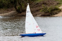 DSC04150 © Peter Taylor 2012