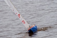 DSC04037 © Peter Taylor 2012