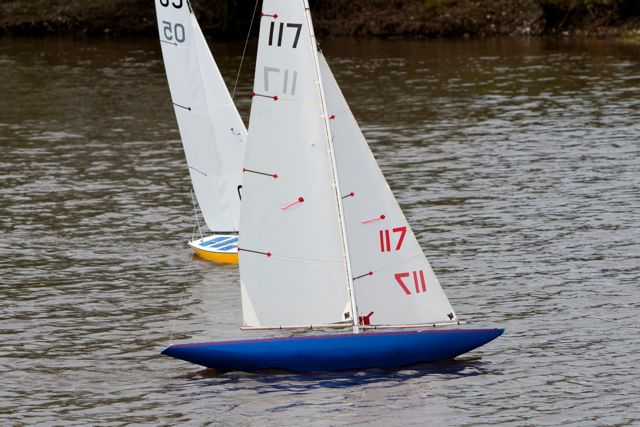 DSC04116 © Peter Taylor 2012