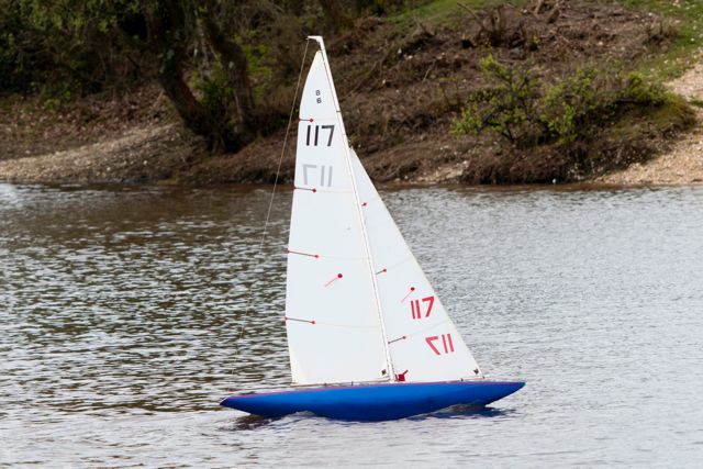 DSC04150 © Peter Taylor 2012