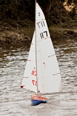 DSC04216 © Peter Taylor 2012