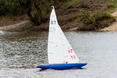 DSC04150 © Peter Taylor 2012