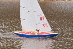 DSC04038 © Peter Taylor 2012