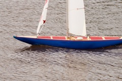 DSC04165 © Peter Taylor 2012
