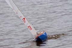 DSC04037 © Peter Taylor 2012