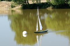 DSC00568 © Peter Taylor 2009