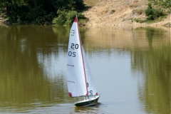 DSC00571 © Peter Taylor 2009